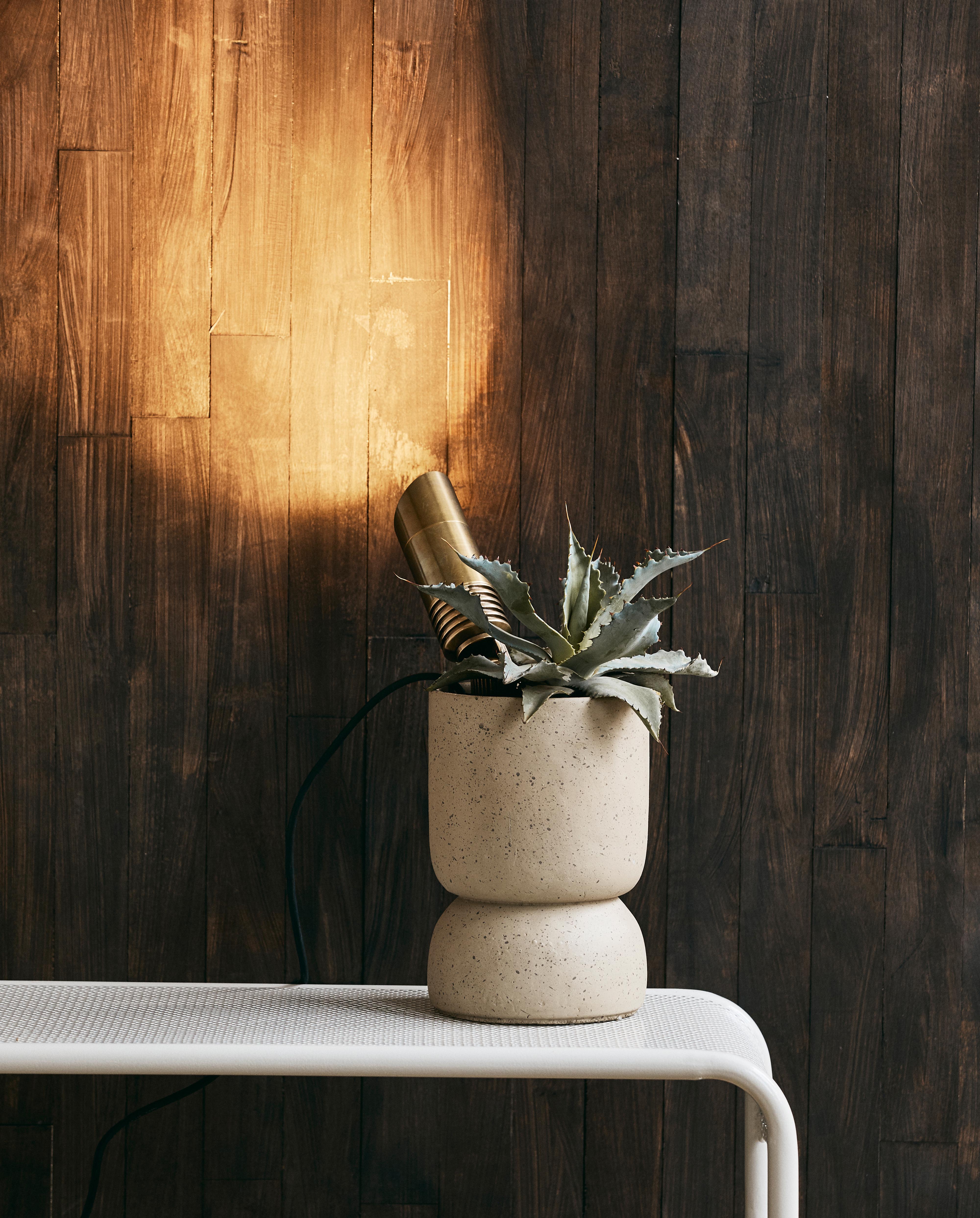 BRENTA Utomhusbänk / Ivory – Elegant Sittbänk i Ljus Ton