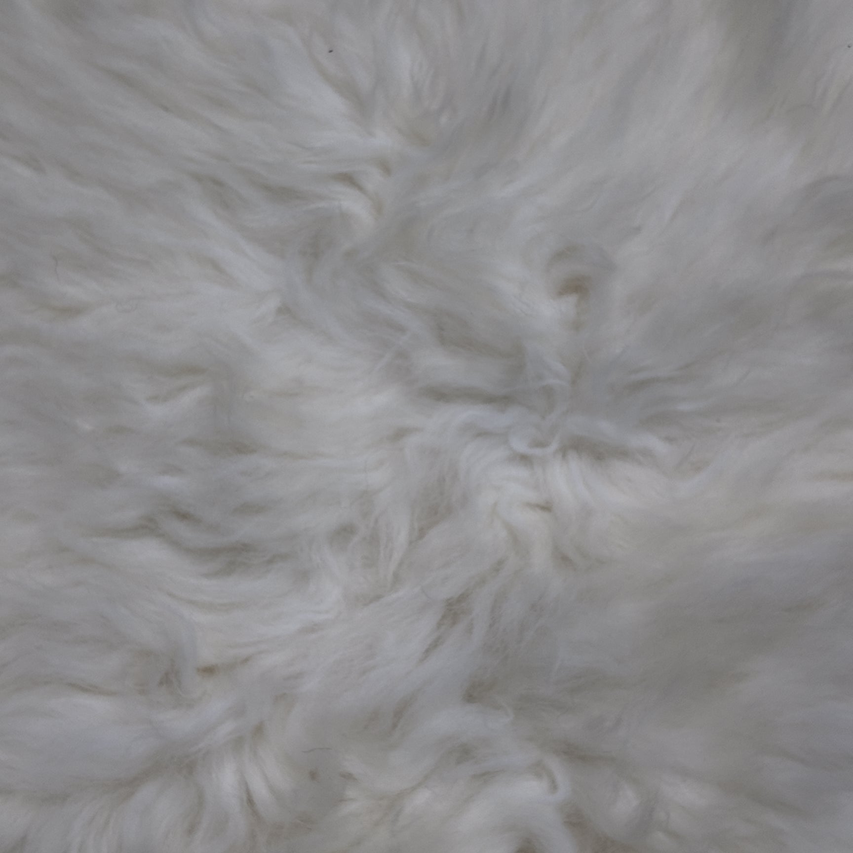 Långhårigt svenskt fårskinn – vit